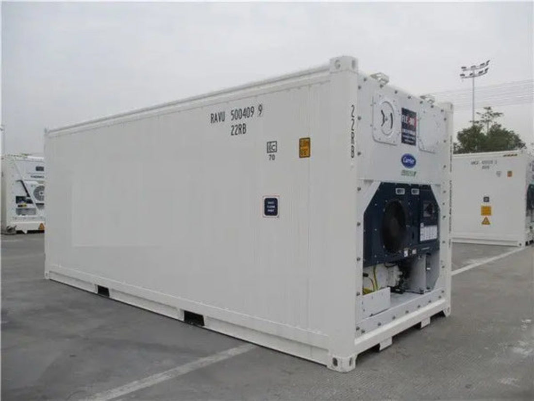 20-Fuß-Kühlcontainer